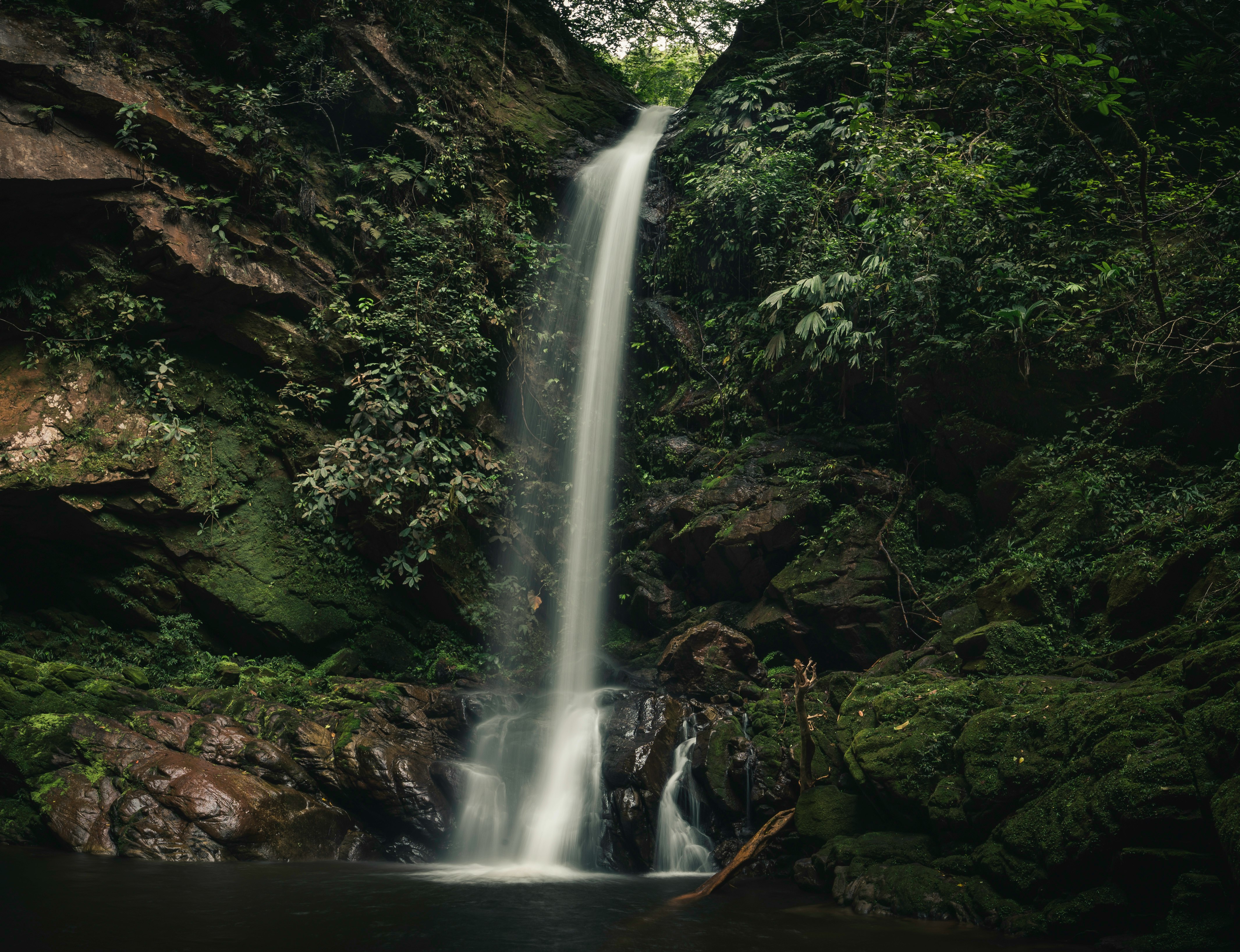 waterfalls in the middle of the forest